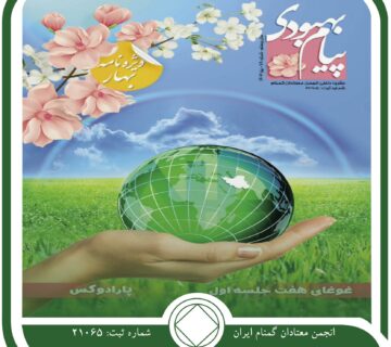 کمیته فصل نامه,پیام بهبودی,انجمن معتادان,گمنام na