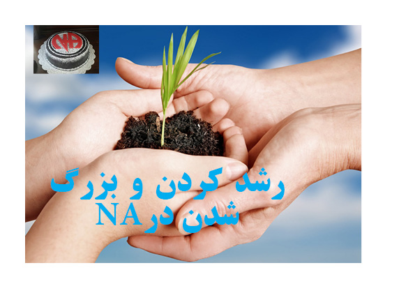 رشد کردن,بزرگ شدن در NA,ابزارهای بهبودی,معتاد تازه وارد,مشارکت با یک معتاد