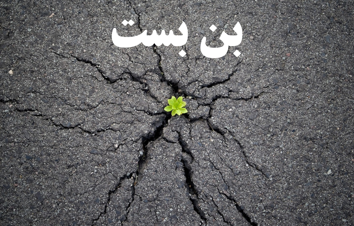 هنگامی که,همه چیز,بن بست می رسد,نشریات بهبودی,راهنمای بهبودی