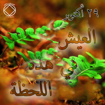 29 أكتوبر العيش في هذه اللحظة