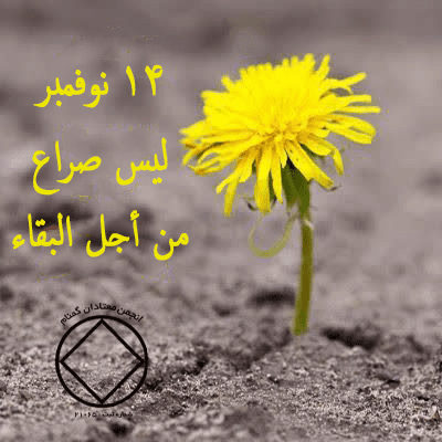 14 نوفمبر ليس صراع من أجل البقاء