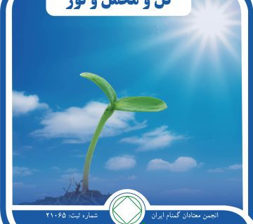 گل و مخمل و نور,داستان بهبودی اعتیاد,آرامش بهبودی,معجزات na,پنجاه سال اعتیاد