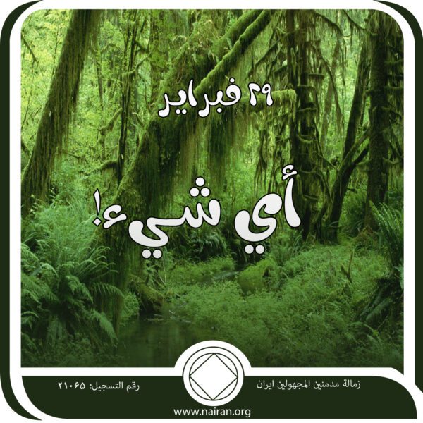 29 فبرايـر أي شـيء!
